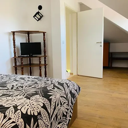Apartment Aurora Soko Banja