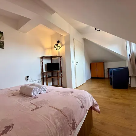 Apartment Aurora Sokobanja